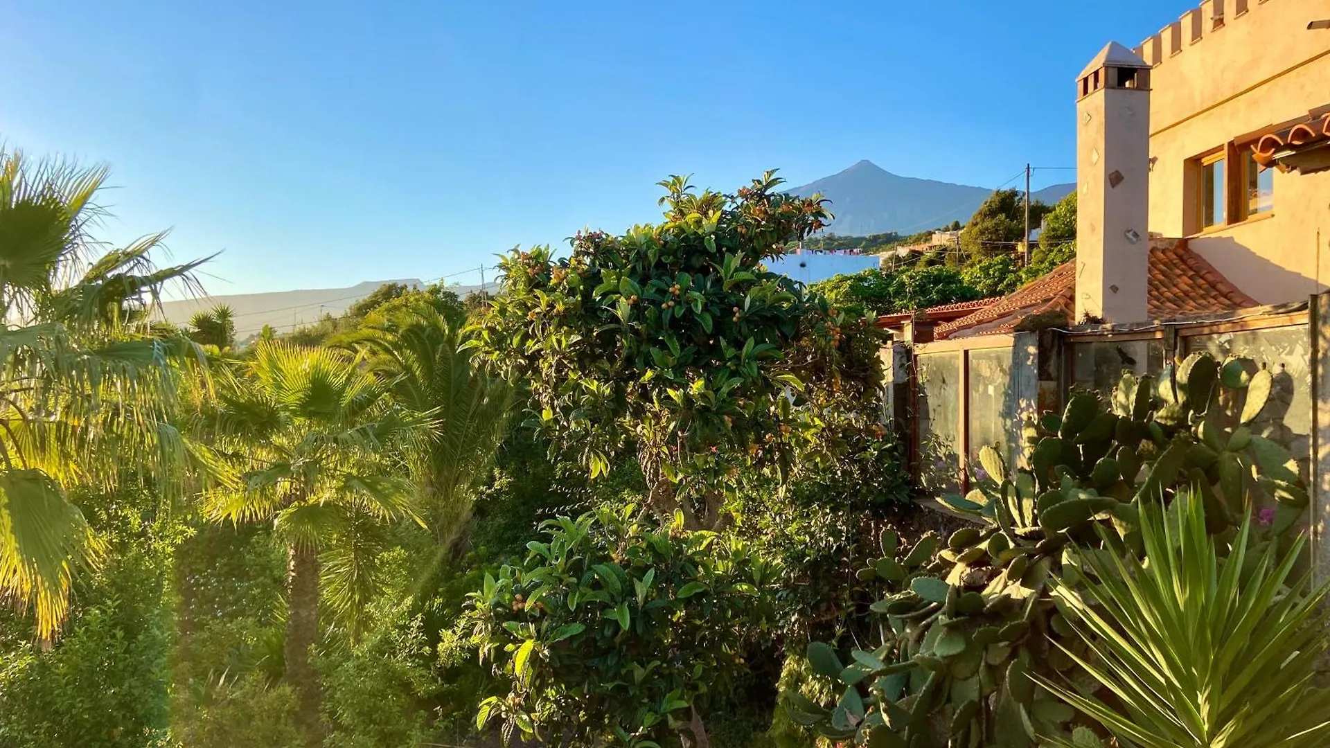 Finca Tenerife - Authentisches Kanarisches Haus Mit Traumblick, Tropischem Garten Und Sauna إيكود ذي لوس فينوس